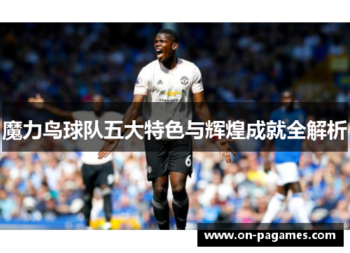 魔力鸟球队五大特色与辉煌成就全解析