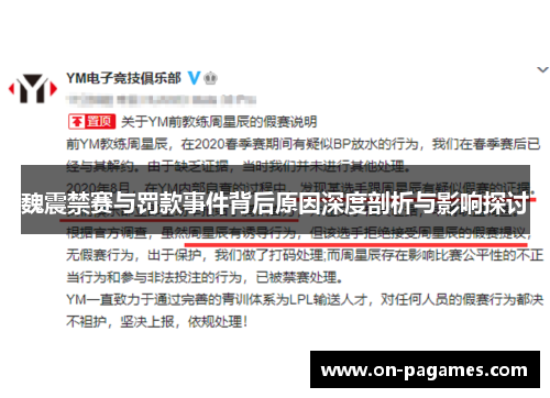 魏震禁赛与罚款事件背后原因深度剖析与影响探讨